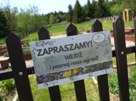 Dzień Dobry Park Narodowy