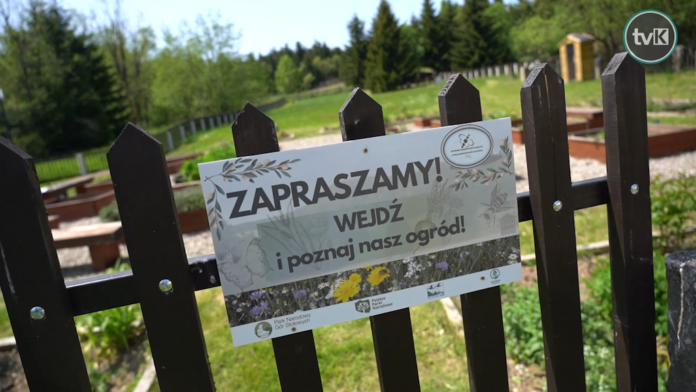 Dzień Dobry Park Narodowy